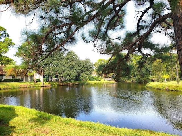 property view of water