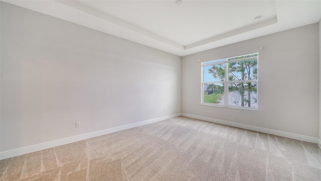 empty room with light carpet and a tray ceiling