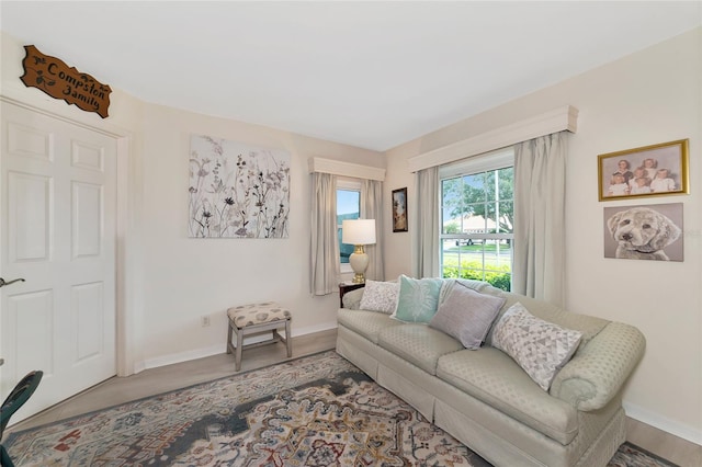 living room featuring hardwood / wood-style floors