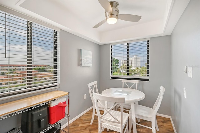 dining area featuring a raised ceiling, a wealth of natural light, wood-type flooring, and ceiling fan