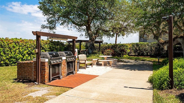 view of patio / terrace with area for grilling