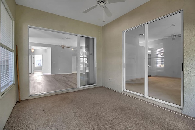 empty room featuring carpet, ceiling fan, and a wealth of natural light