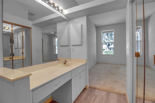 bathroom featuring hardwood / wood-style flooring and vanity