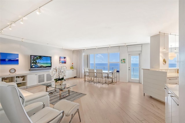 living room with track lighting and light hardwood / wood-style floors