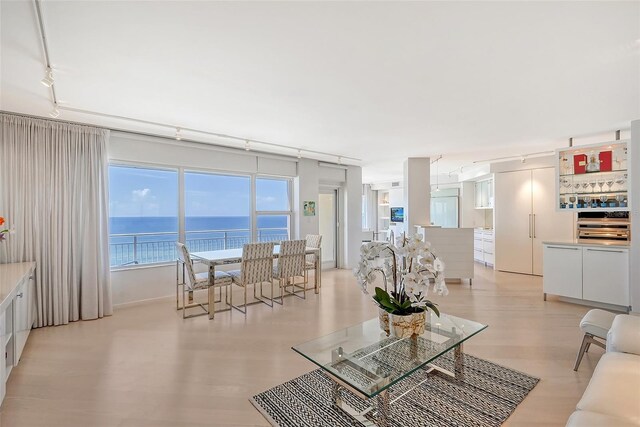 living room featuring track lighting, light wood-type flooring, and a water view