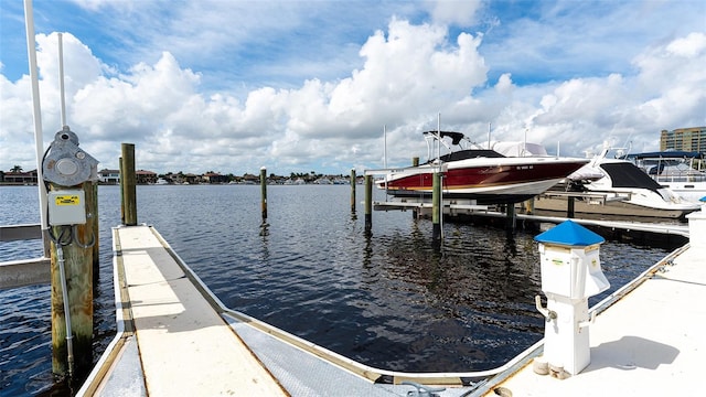 dock area with a water view