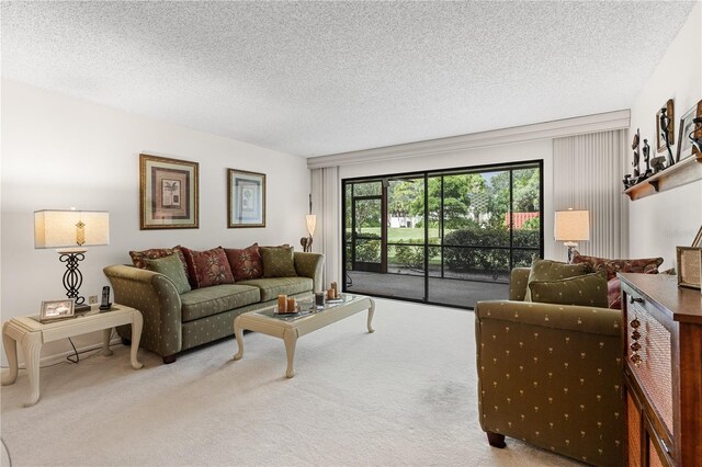 carpeted living room with a textured ceiling