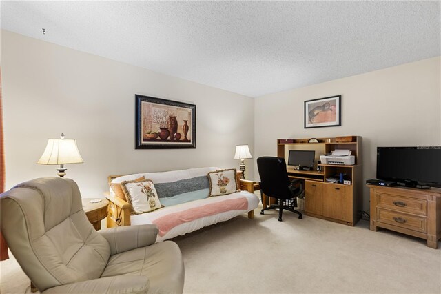 carpeted living room with a textured ceiling