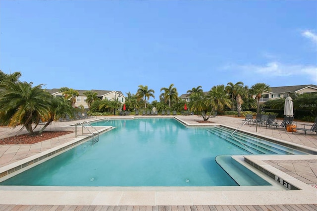 view of swimming pool with a patio