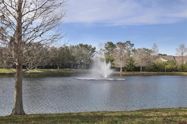 water view