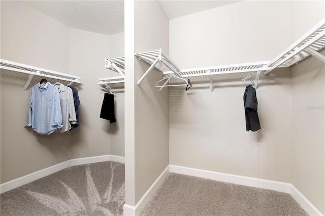 walk in closet with carpet