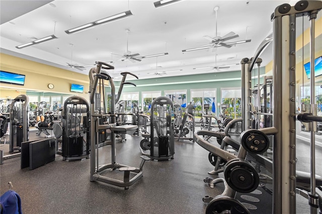 gym featuring plenty of natural light and ceiling fan