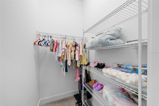 spacious closet featuring carpet flooring