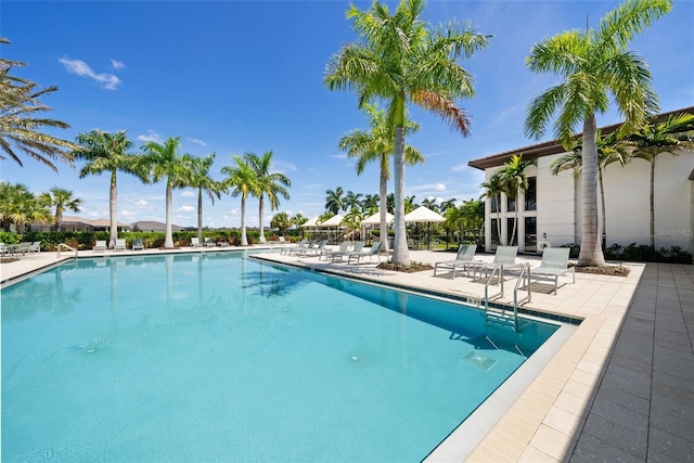 view of swimming pool with a patio