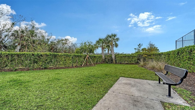 view of yard with a patio area and a fenced backyard