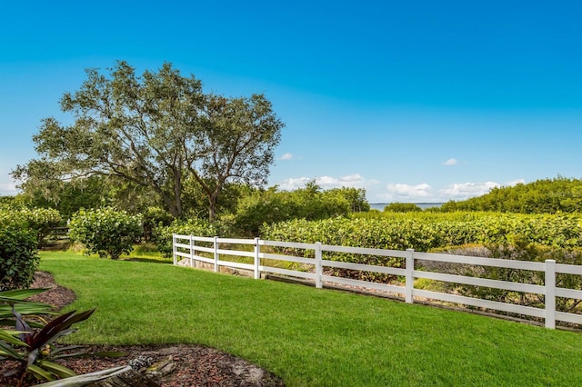 view of yard with a rural view