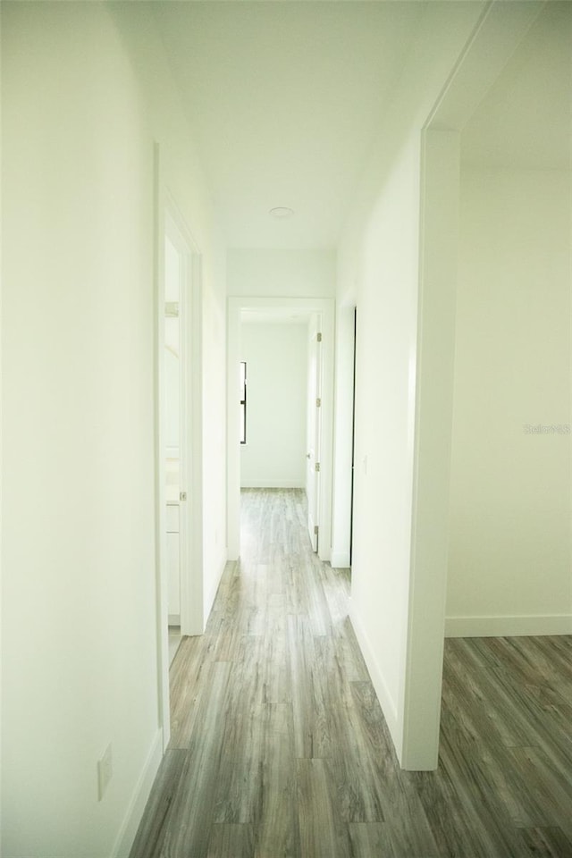 hallway featuring hardwood / wood-style flooring