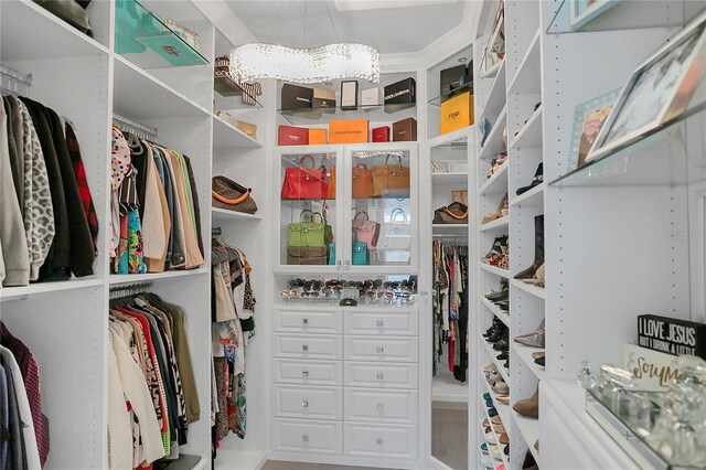 view of walk in closet