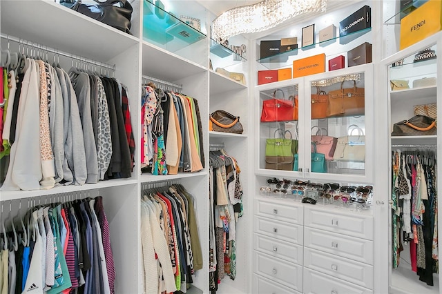 view of spacious closet