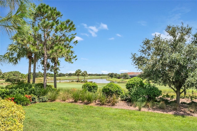 view of yard with a water view