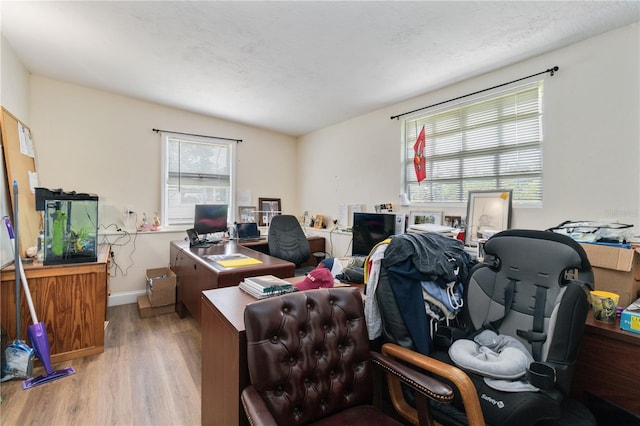 office with a wealth of natural light, light hardwood / wood-style flooring, and a textured ceiling