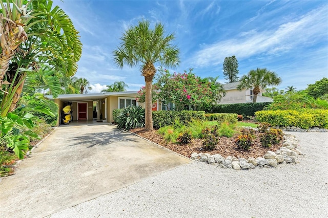 136 Crescent Dr, Anna Maria, FL 34216 - ranch-style home featuring stucco siding, driveway, and an attached carport