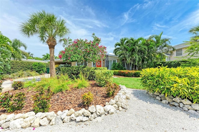 136 Crescent Dr, Anna Maria, FL 34216 - view of yard