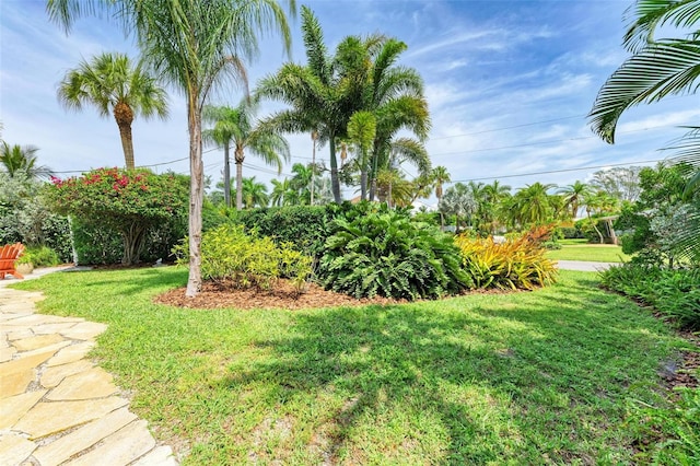 136 Crescent Dr, Anna Maria, FL 34216 - view of yard