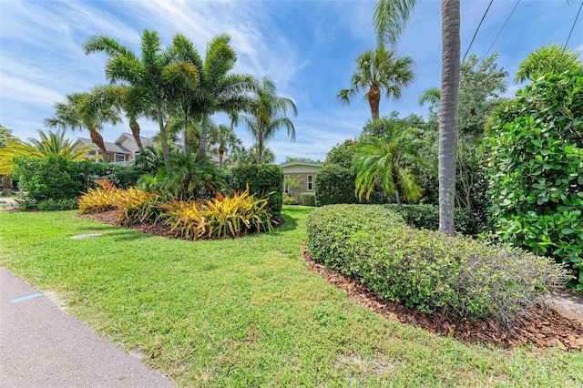 136 Crescent Dr, Anna Maria, FL 34216 - view of yard