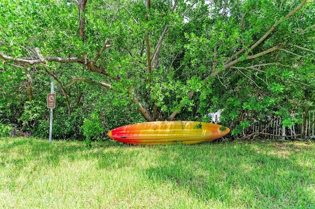 136 Crescent Dr, Anna Maria, FL 34216 - view of yard
