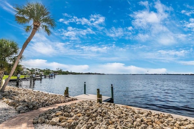 dock area with a water view