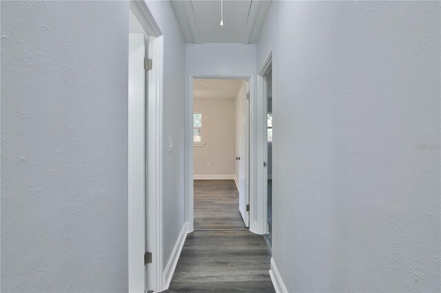 corridor with dark hardwood / wood-style floors