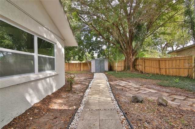 view of yard with a storage unit