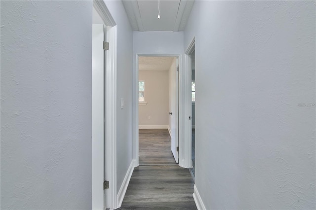 2912 Pinecrest Way, Sarasota, FL 34239 - corridor featuring attic access, dark wood-type flooring, and a textured wall