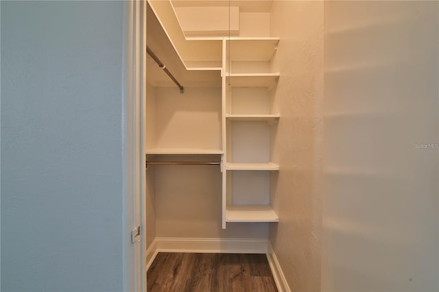 2912 Pinecrest Way, Sarasota, FL 34239 - walk in closet featuring dark wood-style flooring