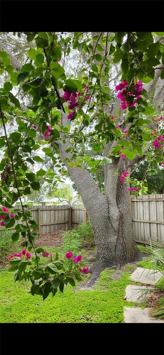 2912 Pinecrest Way, Sarasota, FL 34239 - view of yard
