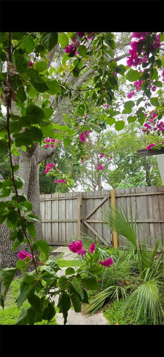 2912 Pinecrest Way, Sarasota, FL 34239 - view of yard
