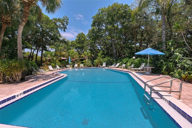 view of swimming pool with a patio