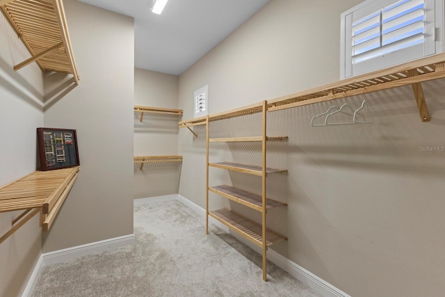 walk in closet with light carpet