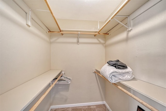 1833 Sandalwood Dr, Sarasota, FL 34231 - walk in closet featuring carpet