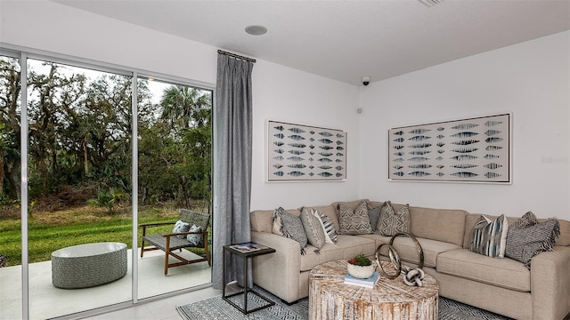 living room featuring a wealth of natural light