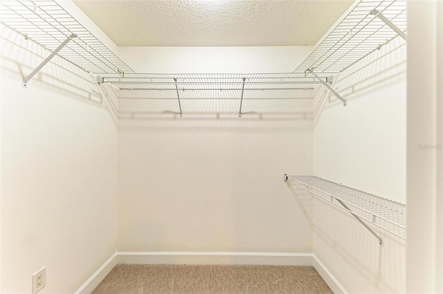 walk in closet with carpet flooring