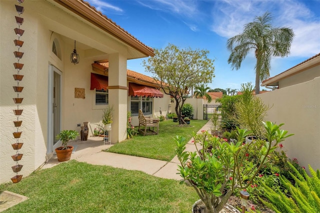 view of yard featuring a patio area