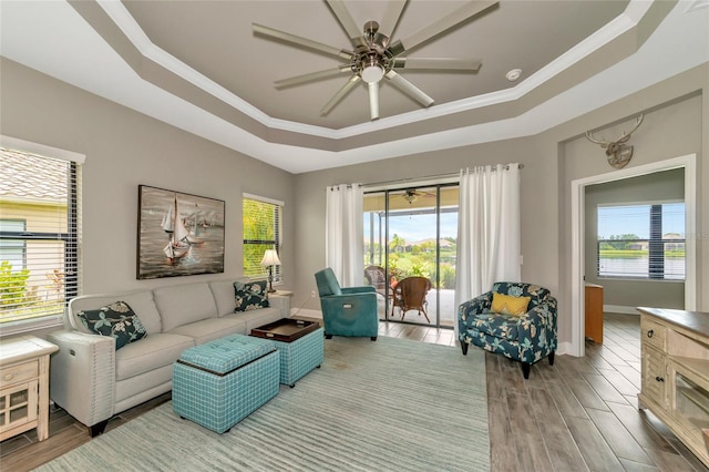 living room featuring crown molding, a raised ceiling, ceiling fan, and hardwood / wood-style flooring