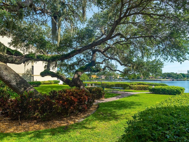 view of community with a yard and a water view