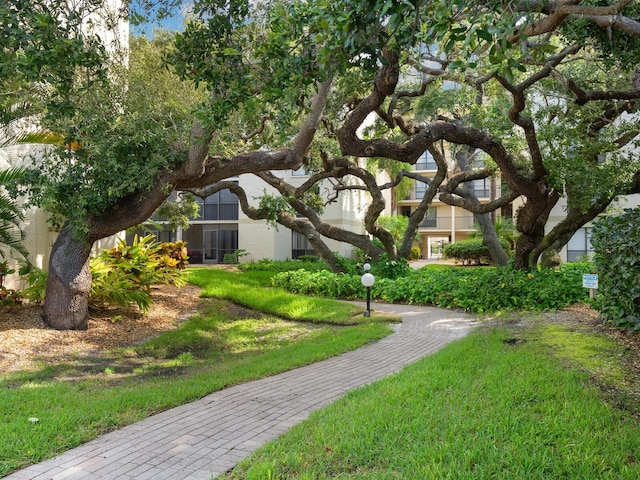 view of home's community with a lawn