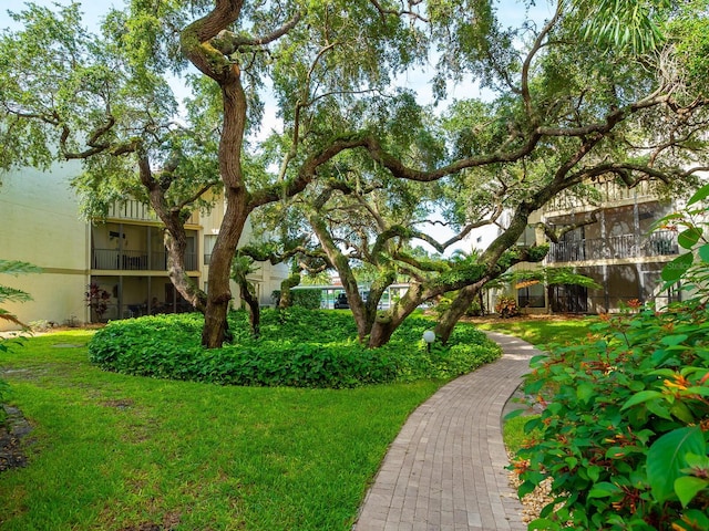 view of property's community with a lawn