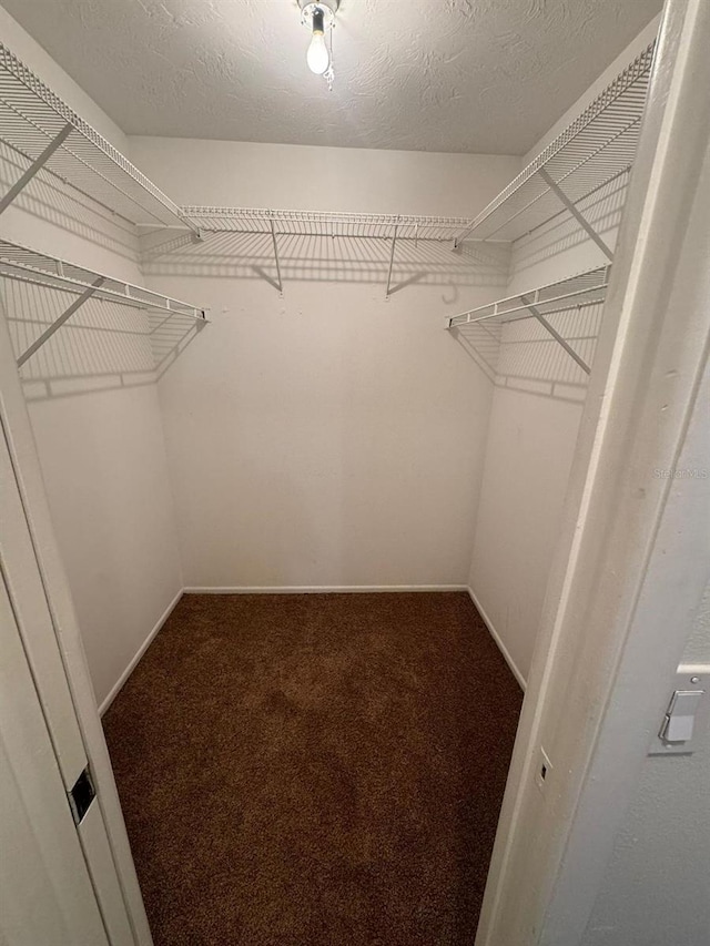 walk in closet featuring carpet flooring