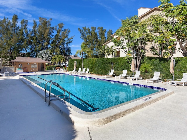 view of swimming pool featuring a patio area