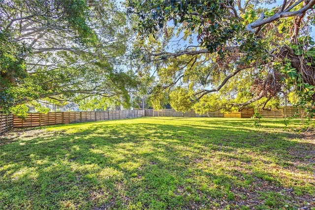 view of yard with a fenced backyard